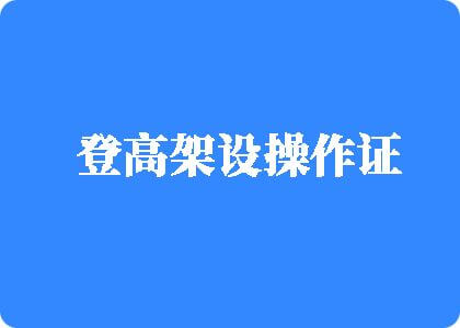 黄色视频网站在线观看视频登高架设操作证